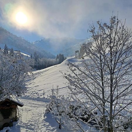 Ferienwohnungen Lehenhof Alpbach Kültér fotó