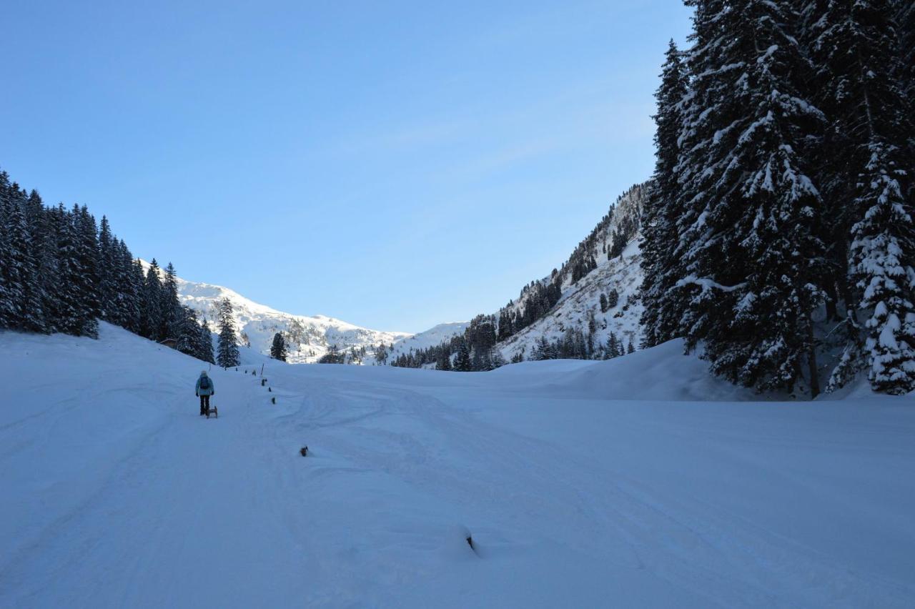 Ferienwohnungen Lehenhof Alpbach Kültér fotó