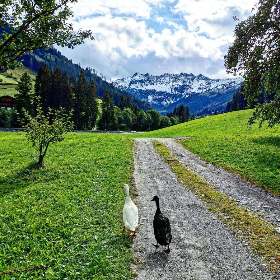 Ferienwohnungen Lehenhof Alpbach Kültér fotó