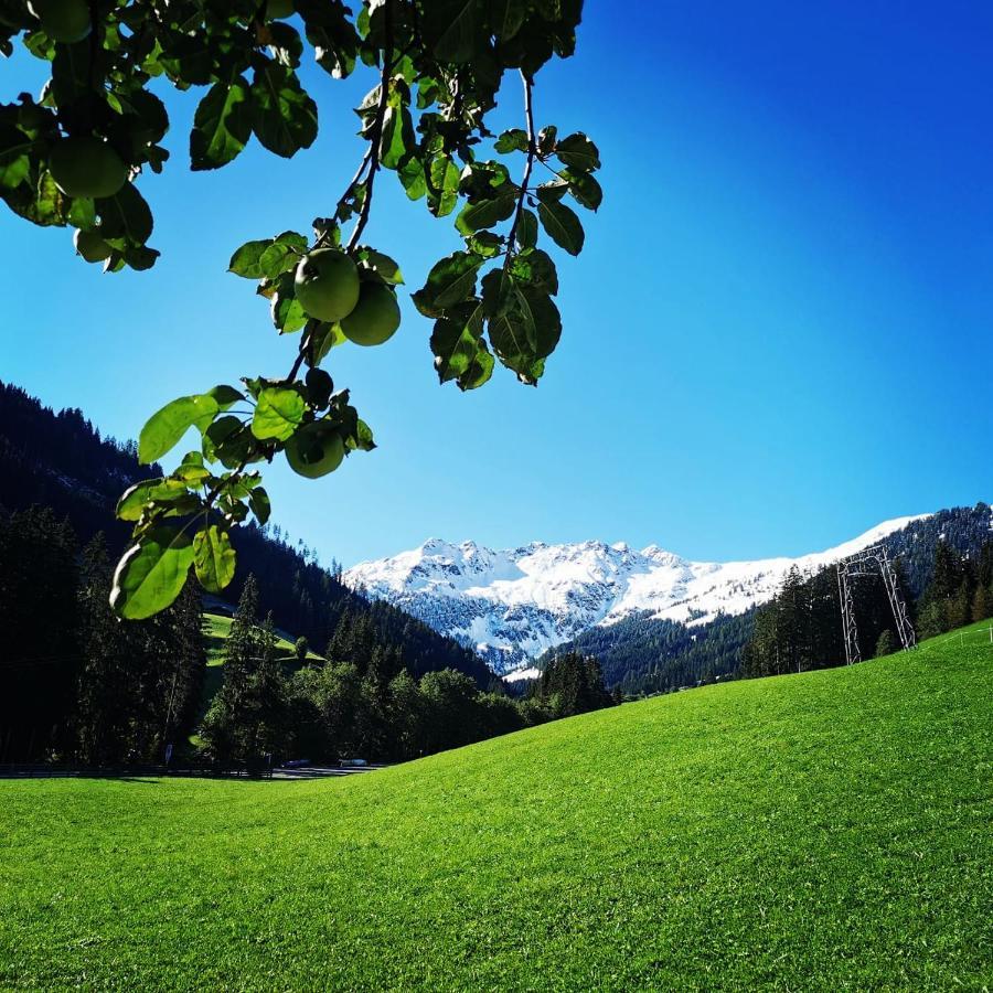 Ferienwohnungen Lehenhof Alpbach Kültér fotó